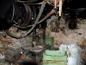 2018-09-17 10-28-05 Combas-Moulin LaTour_noix BMa